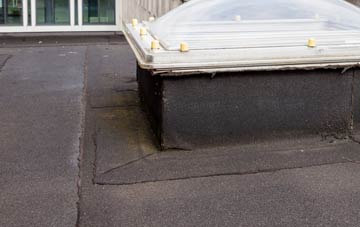 disadvantages of Forest In Teesdale flat roofs