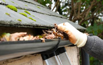 gutter cleaning Forest In Teesdale, County Durham