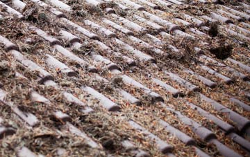 Forest In Teesdale roof cleaning companies